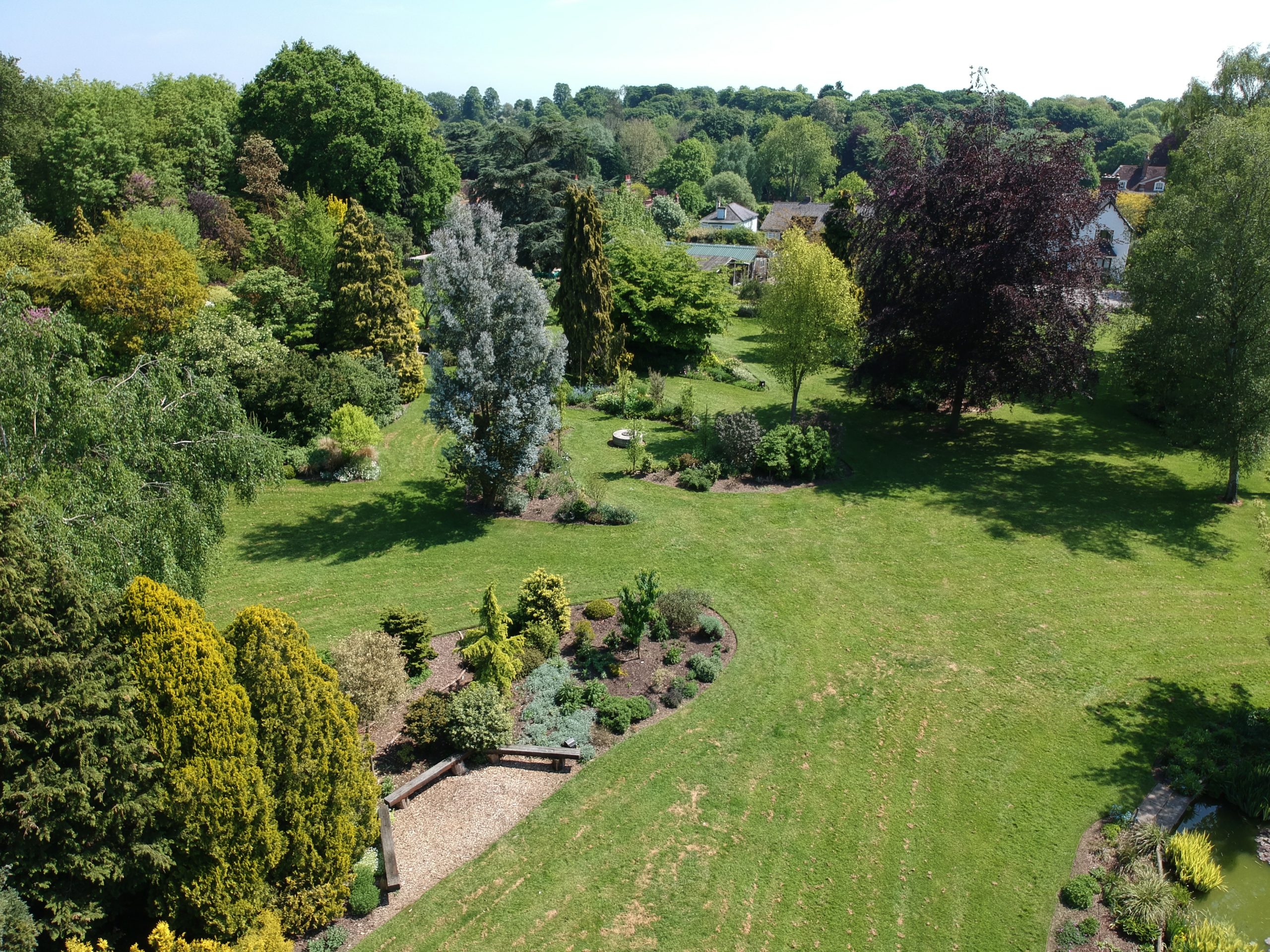 Aerial view of my garden.