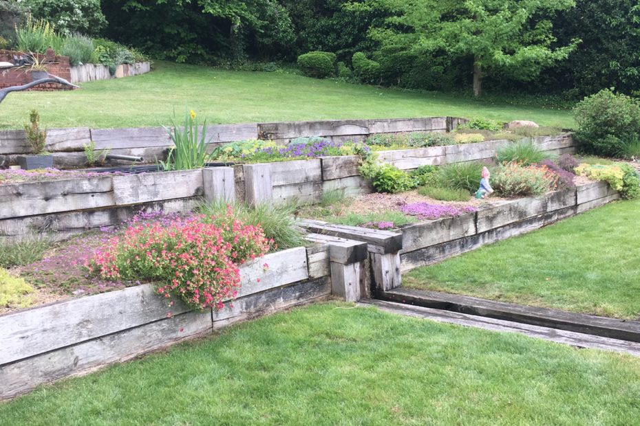 Alpine beds after 5 years