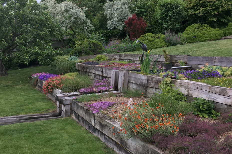Alpine beds after 10 years