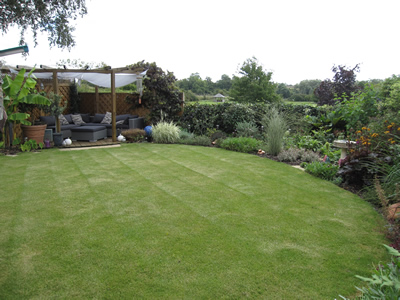 The back garden - a little more level.  Here the client can indulge her passion for plants and entertaining.